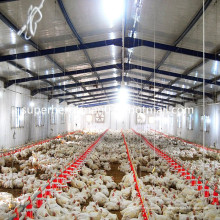 Équipement automatique de ferme de volaille pour la production de poulets